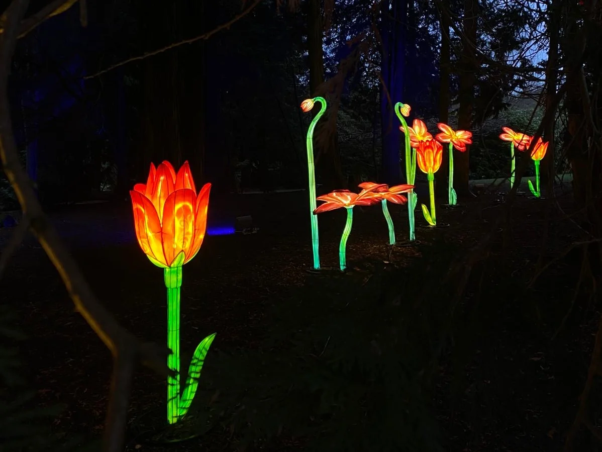 Leuchtende künstliche Blumen in einem dunklen Wald bei Nacht.