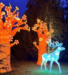 Lichtobjekte im Park: zwei orange leuchtende Bäume und eine hellblau strahlende Hirsch-Figur